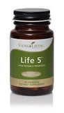 CORE SUPPLEMENT KIT