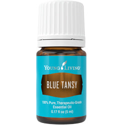 Blue Tansy