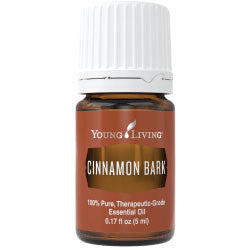 Cinnamon Bark Essential Oil 5 ml