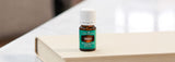 Davana Essential Oil