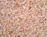 Einkorn Wheat Seed  - 25 lbs  - DIRECT FROM GROWER
