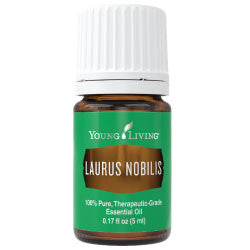 Laurus Nobilis Essential Oil 5 ml