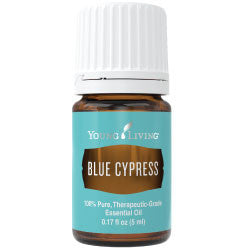 Blue Cypress Essential Oil 5 ml