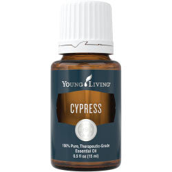 Cypress Essential Oil 15 ml