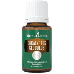 Eucalyptus Globulus Essential Oil 15 ml