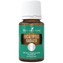Eucalyptus Radiata Essential Oil 15 ml