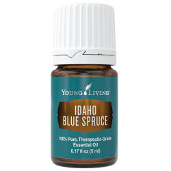 Idaho Blue Spruce 5 ml