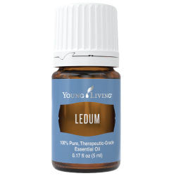 Ledum Essential Oil 5 ml