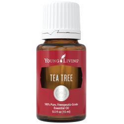 Tea Tree (Melaleuca Alternifolia) 15 ml